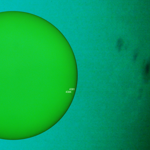 活動領域 4381,4384：2026/03/13