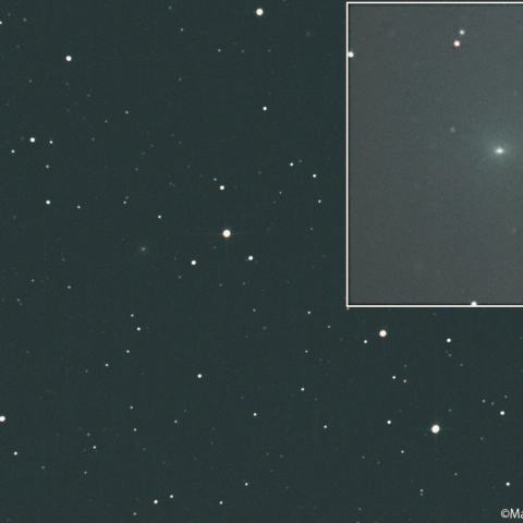 ショーマス彗星 ( 24P ):2026/03/13