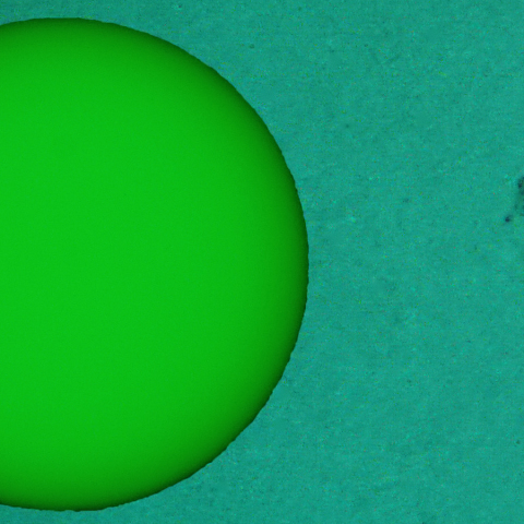 活動領域 4392：2026/03/16