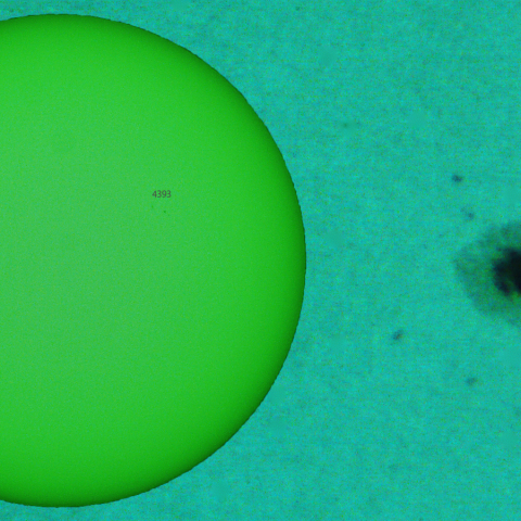 活動領域 4392：2026/03/17