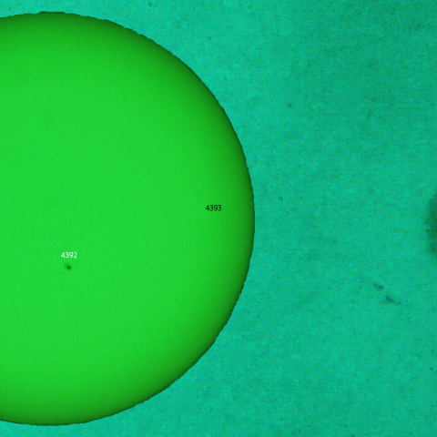 活動領域 4392：2026/03/19