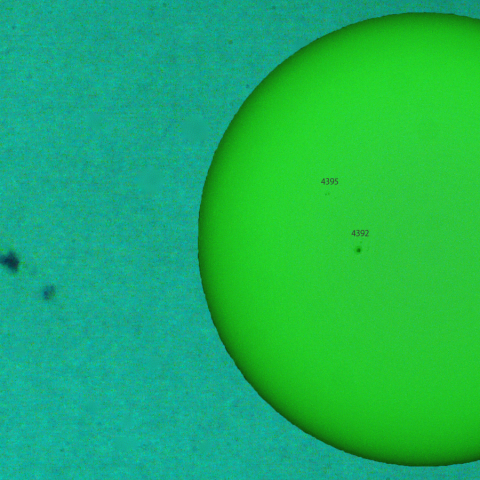 活動領域 4393：2026/03/17