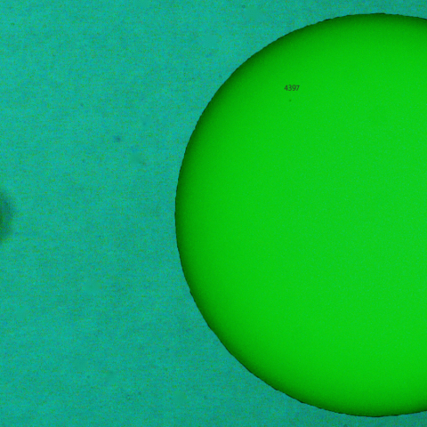 活動領域 4392：2026/03/21