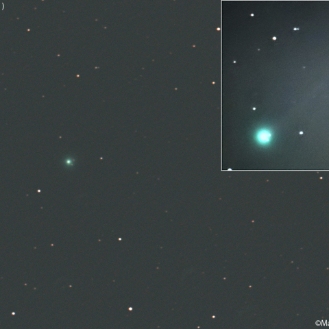 今朝のパンスターズ彗星 (C/2025R3)：2026/03/24