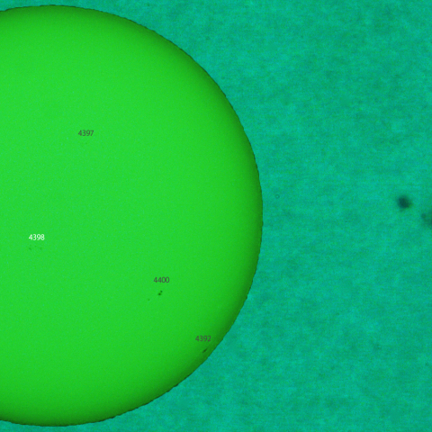 活動領域 4398：2026/03/24