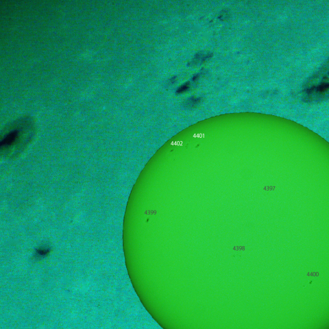 活動領域 4401,4402：2026/03/24