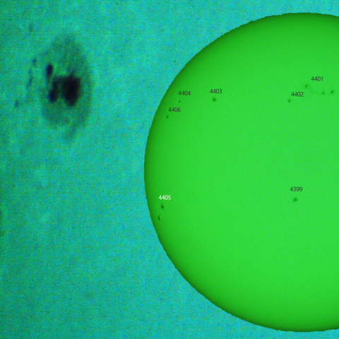 活動領域 4405：2026/03/28
