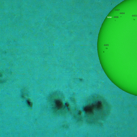 活動領域 4401：2026/03/29