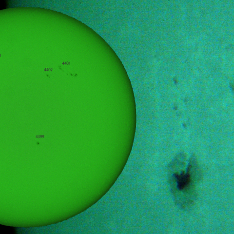 活動領域 4405:2026/03/29