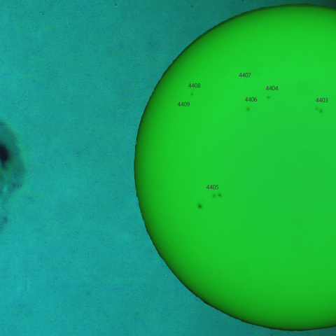 活動領域 4401：2026/03/31