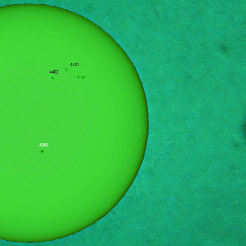 活動領域 4399：2026/03/29