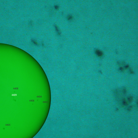 活動領域,4409：2026/04/05