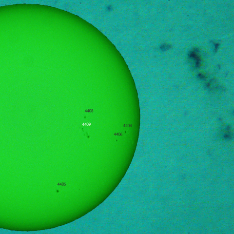 活動領域,4409：2026/04/06