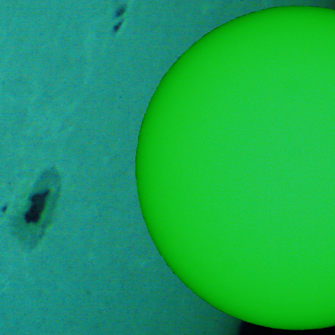 活動領域,4409：2026/04/08