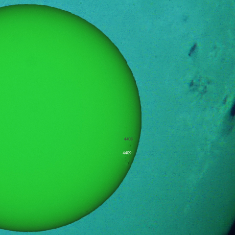 活動領域,4409：2026/04/09