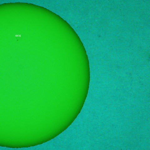 活動領域,4416：2026/04/11