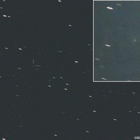 ショーマス彗星 ( 24P )：2026/04/13