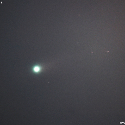 今朝のパンスターズ彗星 (C/2025R3)：2026/04/19