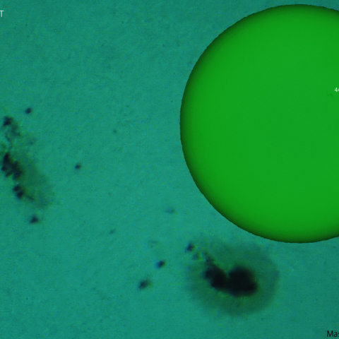 活動領域 4419：2026/04/20