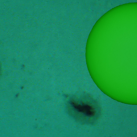 活動領域 4419：2026/04/21