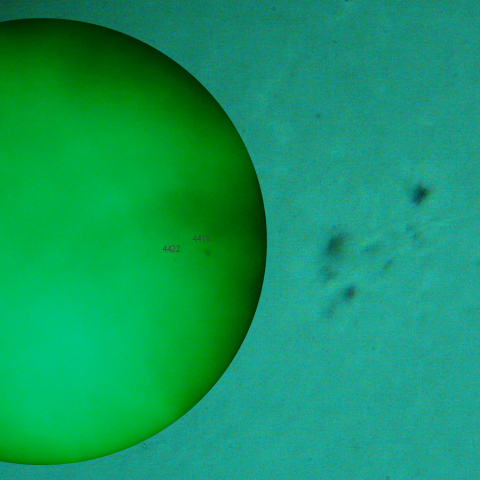 活動領域 4420：2026/04/22