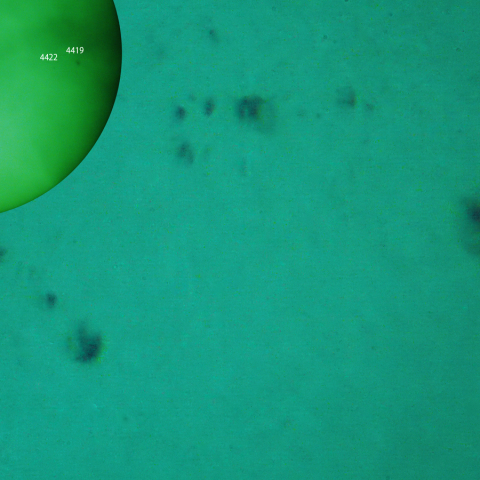 昨日の活動領域 4419、4422：2026/04/22