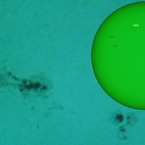 活動領域 4420：2026/04/24