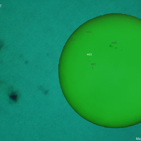 活動領域 4423：2026/04/25