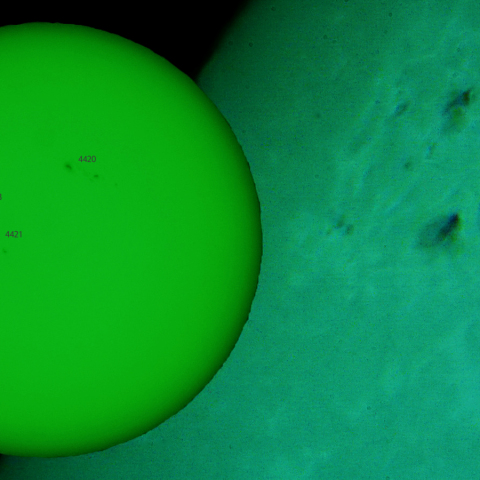 活動領域 4425：2026/04/26