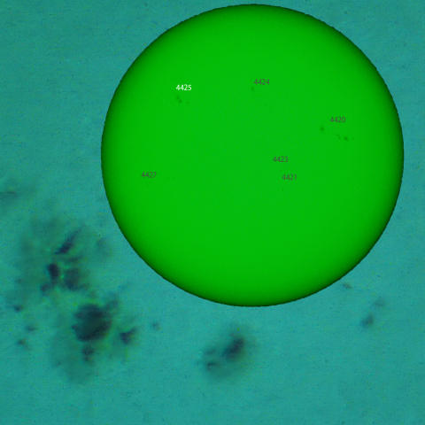 活動領域 4425：2026/04/28
