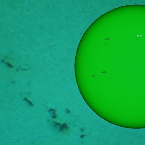 活動領域 4424：2026/04/28