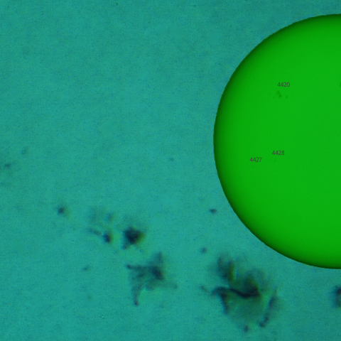 活動領域 4420：2026/04/28