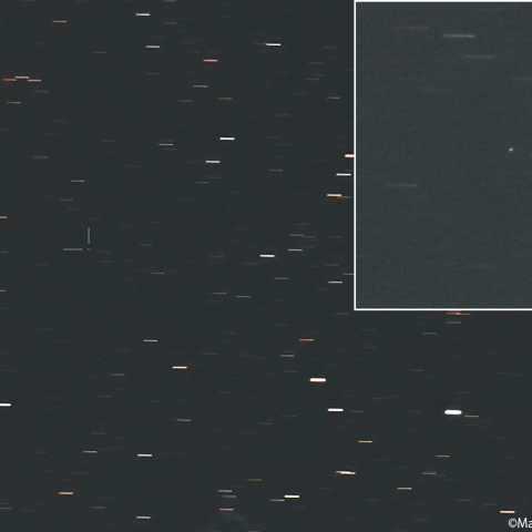 テンペル第2彗星 (10P)：2026/05/19