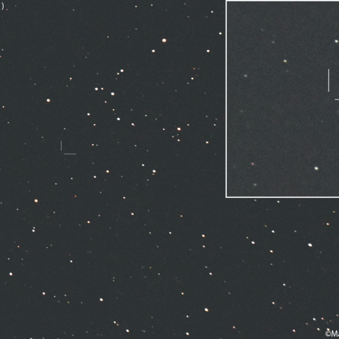 パンスターズ彗星 ( C/2022R6 )：2026/05/19