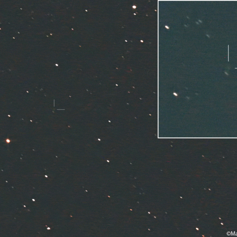 ショーマス彗星 ( 24P )：2026/05/19
