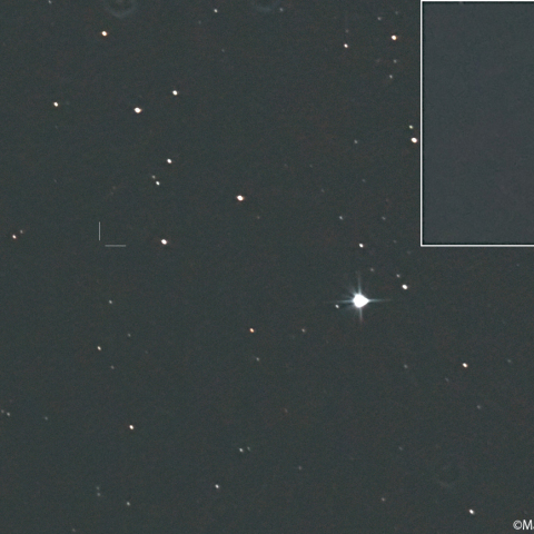 ショーマス彗星 ( 24P )：2026/05/29