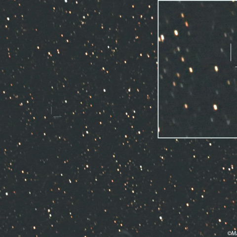 ニート彗星 (169P):2026/05/30