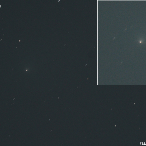 テンペル第2彗星 (10P)：2026/08/07