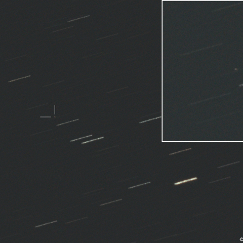 ニート彗星 (169P)：2026/08/08