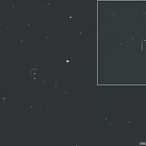 ハウエル彗星 ( 88P )：2026/08/07