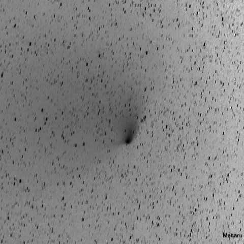 パンスターズ彗星20130422（階調の反転）