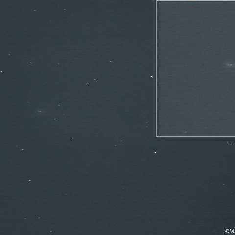 マクノート彗星 ( 220P )：2026/08/19