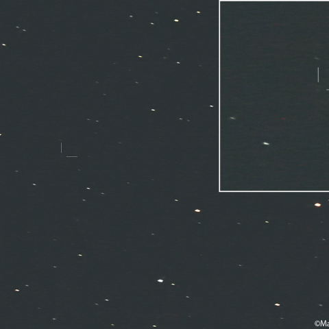 ハウエル彗星 ( 88P )：2026/08/19