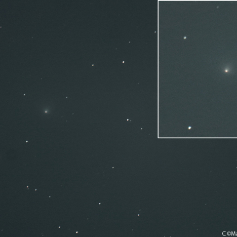 テンペル第2彗星 (10P)：2026/08/18