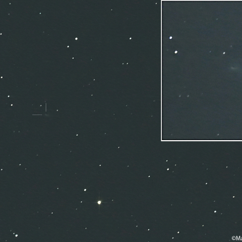 マクノート彗星 ( 220P )：2026/09/19