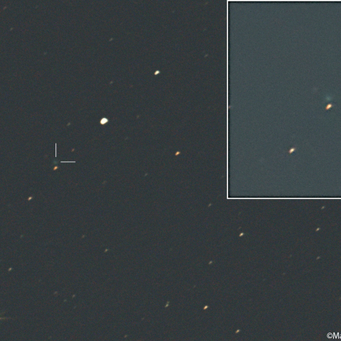 ニート彗星 (169P)：2026/09/22