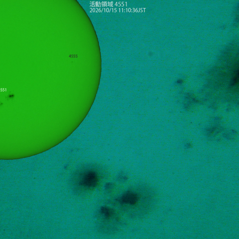 活動領域 4551:2026/10/15