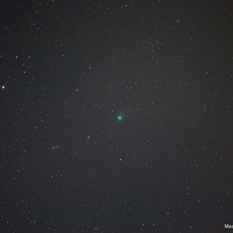 レモン彗星20130604