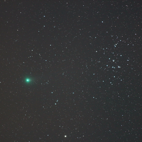 ラブジョイ彗星（20131108）とプレセペ星団