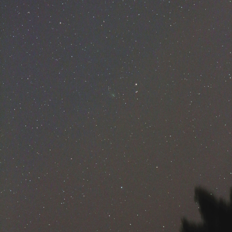 リニア彗星（20131108）